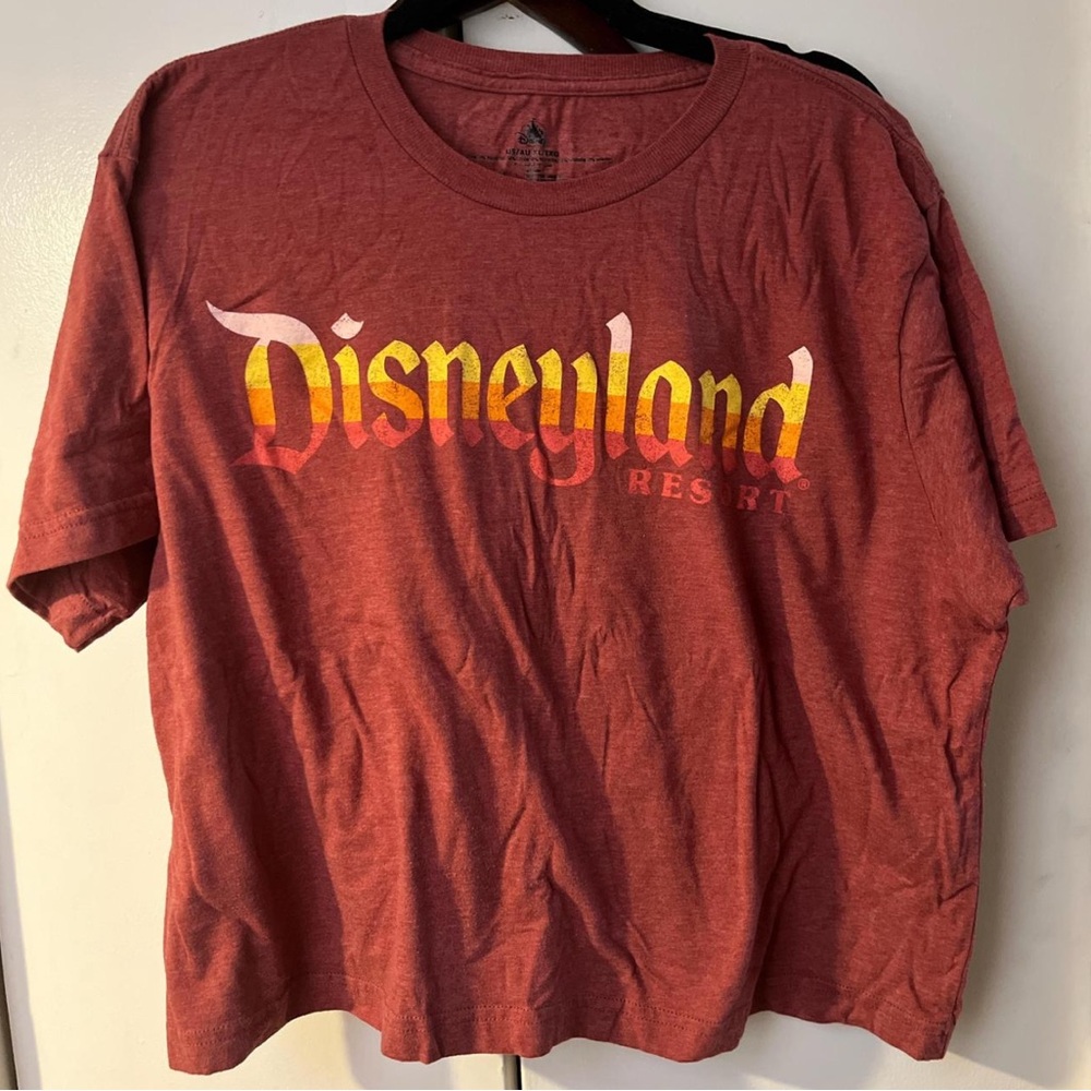 Disneyland Burgundy Graphic Tee